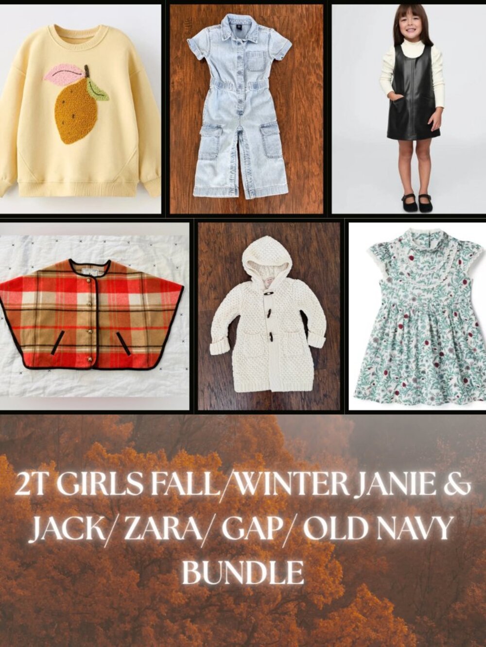 2T GIRLS FALL/WINTER JANIE & JACK/ZARA BUNDLE: EUC!